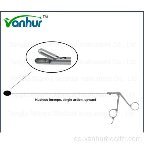 Foeceps del necleo ascendente transforaminal lumbar